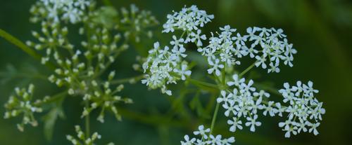 blog photo titled header
