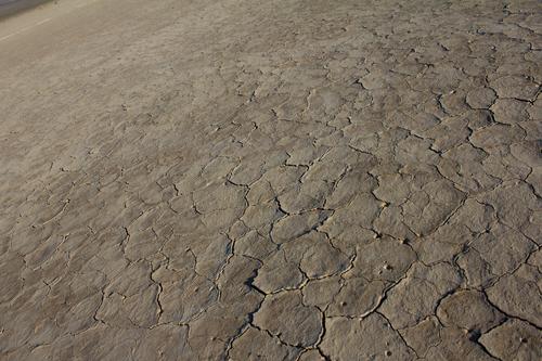 blog photo titled trevor