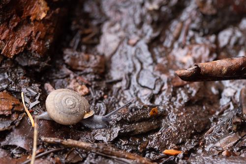 blog photo titled furthermore