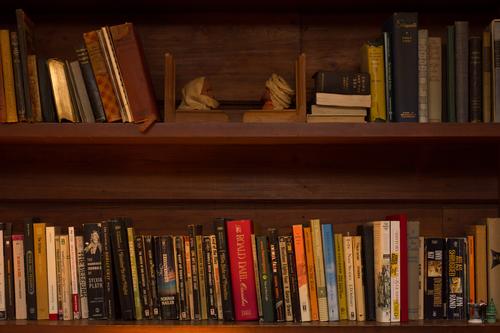 blog photo titled recapture