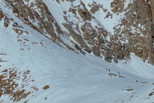 blog photo titled ants