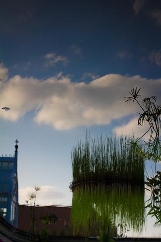 blog photo titled luminary