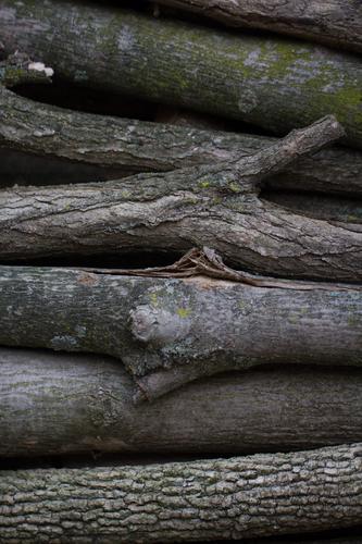 blog photo titled laterals