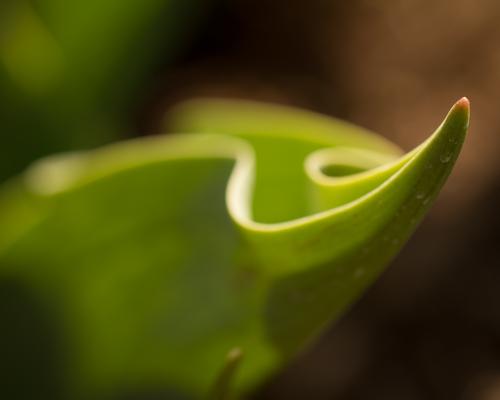 blog photo titled tuned