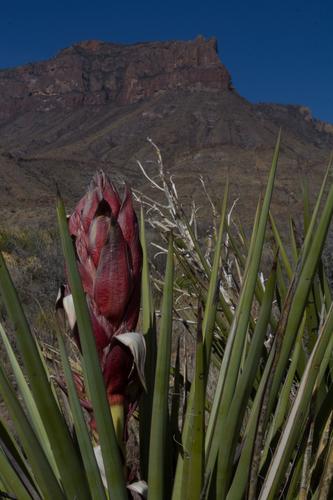 blog photo titled kern