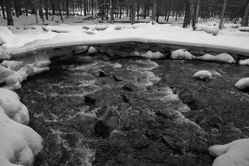 blog photo titled anecdotage