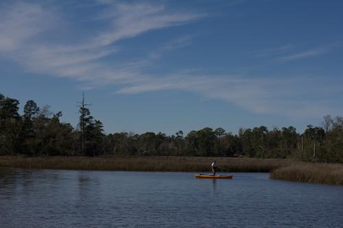 blog photo titled fisher