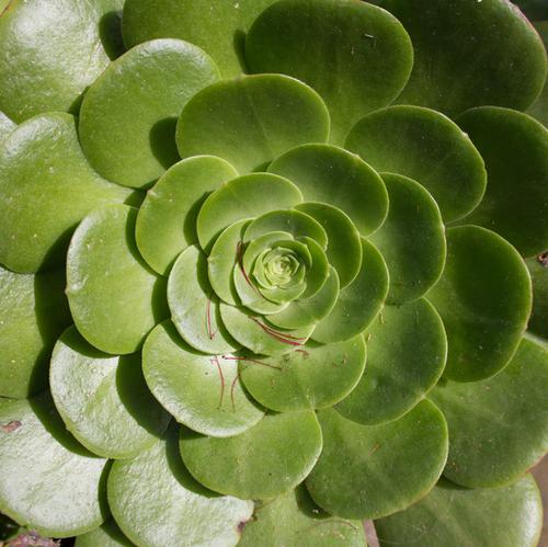 blog photo titled scope
