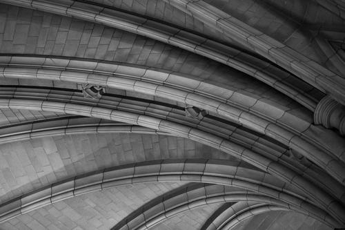 blog photo titled studies