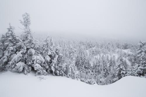 blog photo titled bedswerver