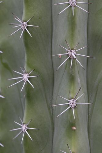 blog photo titled campanology