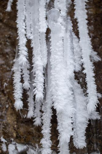 blog photo titled onslaught
