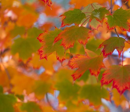 blog photo titled prismatic