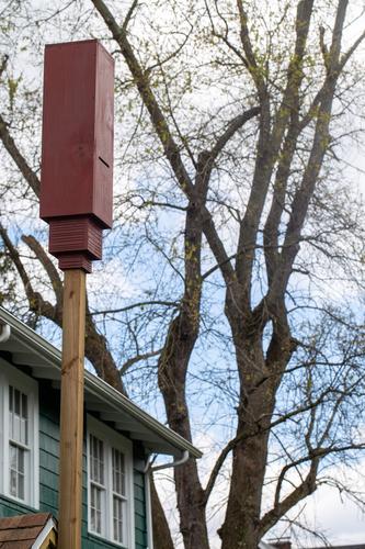 blog photo titled bathouse