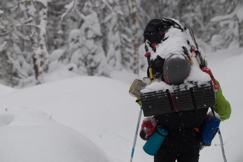 blog photo titled misogamy