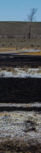 blog photo titled wretched