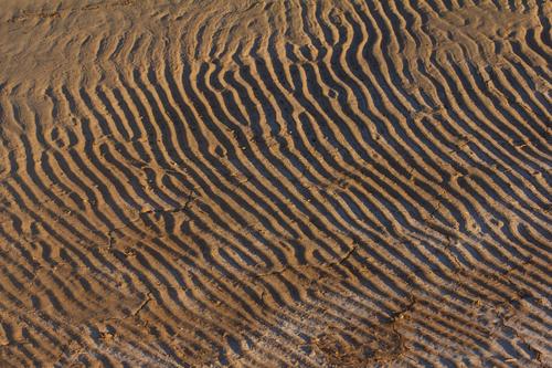 blog photo titled whorls
