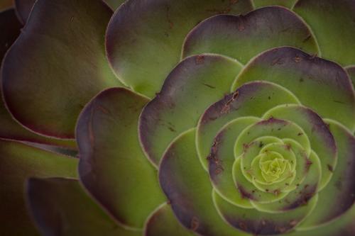 blog photo titled concubonical