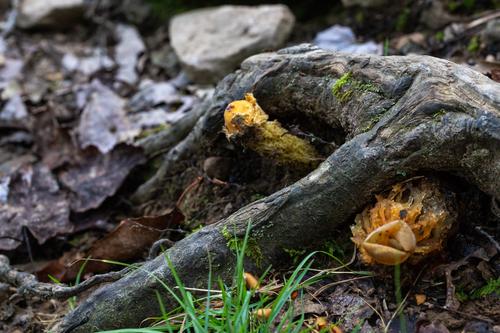 blog photo titled escapist