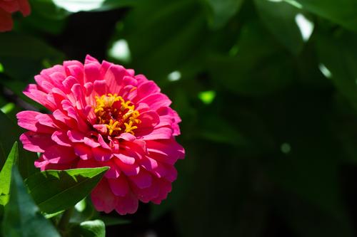 blog photo titled cohabitate