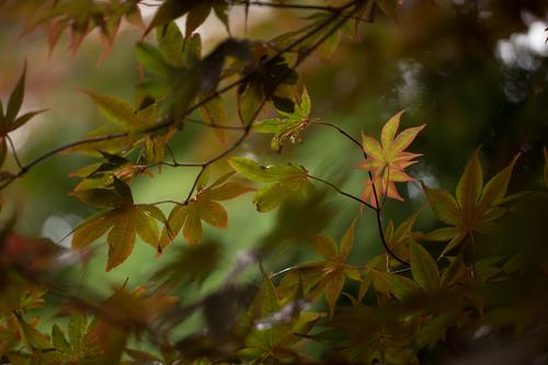 blog photo titled precipitation