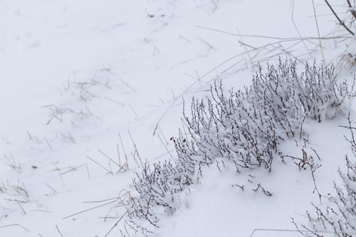 blog photo titled corpulent