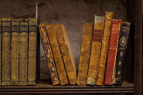 blog photo titled underneath