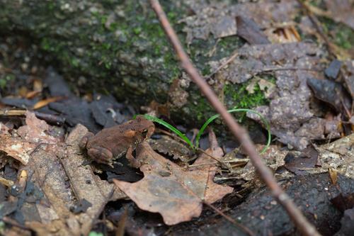 blog photo titled timeliness
