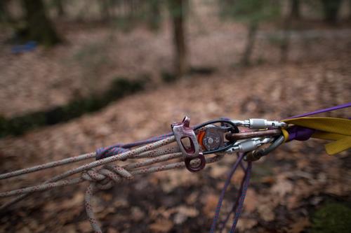 blog photo titled capture