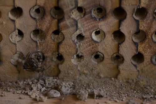 blog photo titled congregate