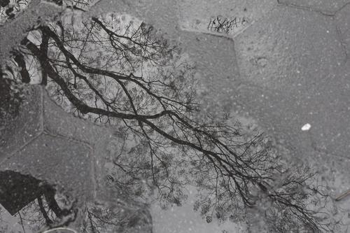 blog photo titled declining