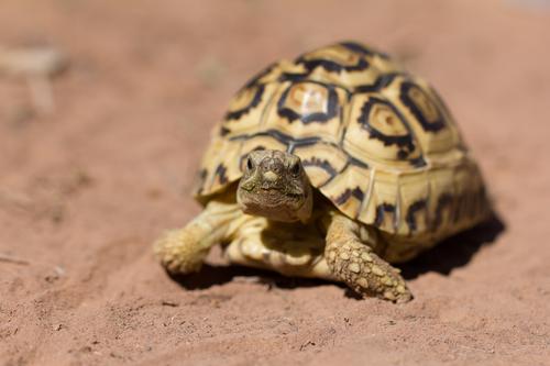 blog photo titled indignant