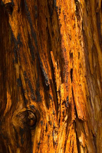 blog photo titled perp