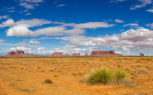 blog photo titled hastily