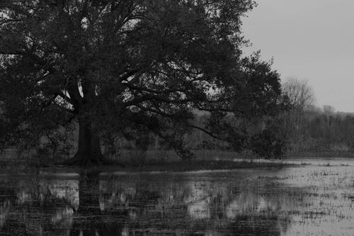 blog photo titled barabbas