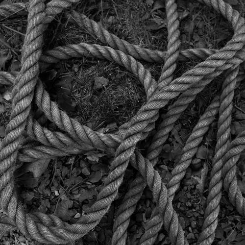 blog photo titled dwelt