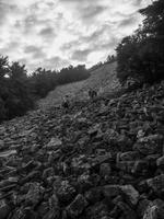 blog photo titled shredded