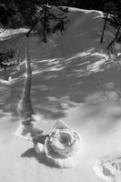 blog photo titled conditions