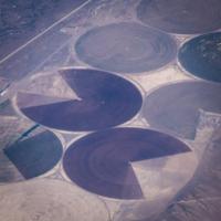 blog photo titled pac-men