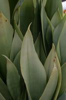 blog photo titled flame