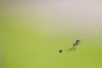 blog photo titled housebound