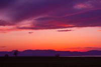 blog photo titled limited