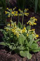 blog photo titled violence