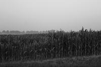 blog photo titled routine