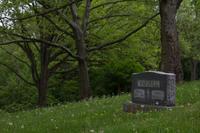 blog photo titled marshall