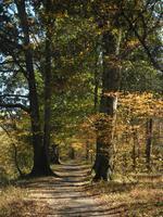 blog photo titled forded