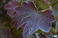 blog photo titled hard