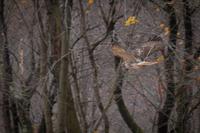 blog photo titled corroborate