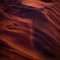 blog photo titled cognoscenti