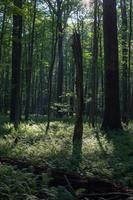 blog photo titled diminishing